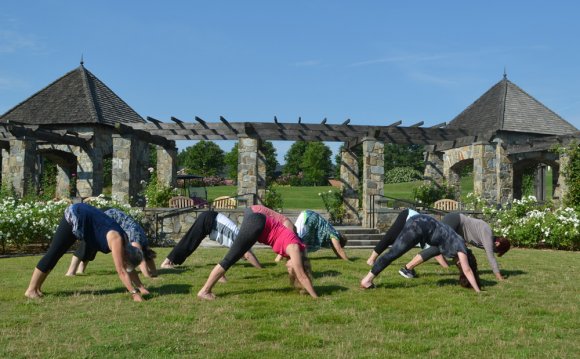 Downward Facing Dog yoga in