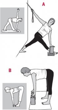 illustration of Iyengar yoga poses
