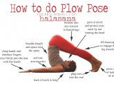 Plow pose Yoga Virginia