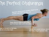 Yoga Chaturanga Virginia