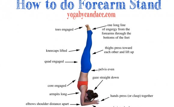 Forearm stand Yoga Virginia